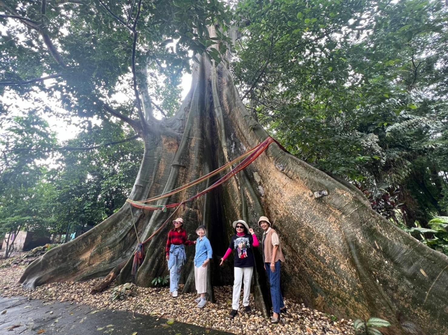 Nan View Farmer Lumduan Homestay المظهر الخارجي الصورة